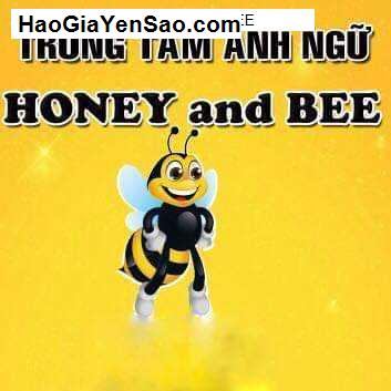 Các Thương hiệu Đào tạo Ngoại Ngữ H. Thăng Bình, T. Quảng Nam