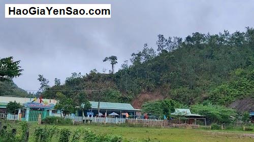 Học ngoại ngữ ở Huyện Tây Giang, Lựa chọn 16 Trung tâm tốt khu vực T. Quảng Nam