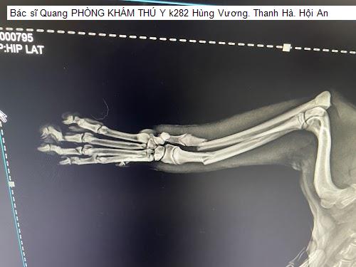 Yến Sào Quảng Nam - Gợi ý 10 Nha Khoa tốt nhất khu vực Thành phố Hội An