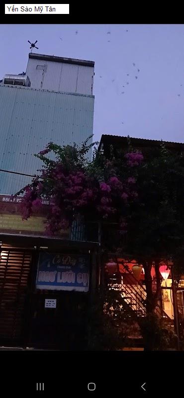  Quảng Nam - Danh sách 13 Cửa Hàng Yến Sào tại H. Duy Xuyên, T. Quảng Nam