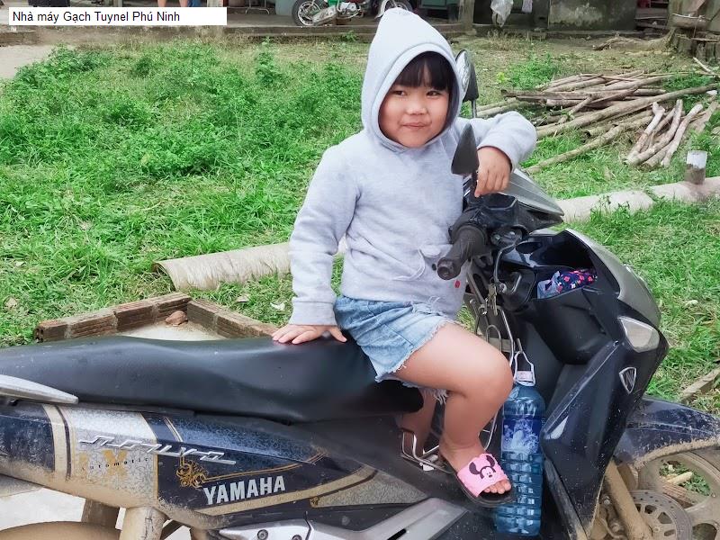 Nhà máy Gạch Tuynel Phú Ninh