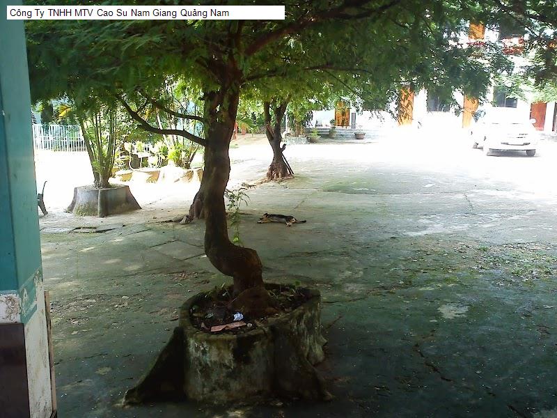 Công Ty TNHH MTV Cao Su Nam Giang Quảng Nam