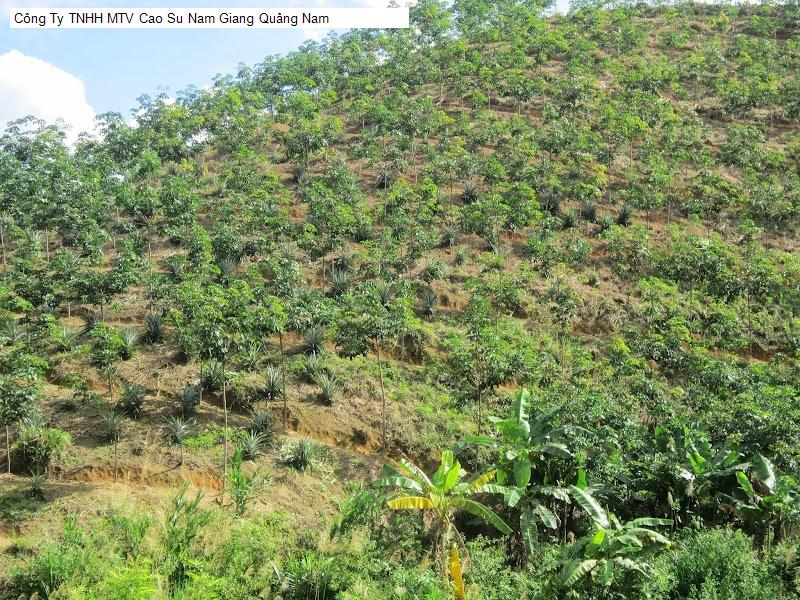 Công Ty TNHH MTV Cao Su Nam Giang Quảng Nam