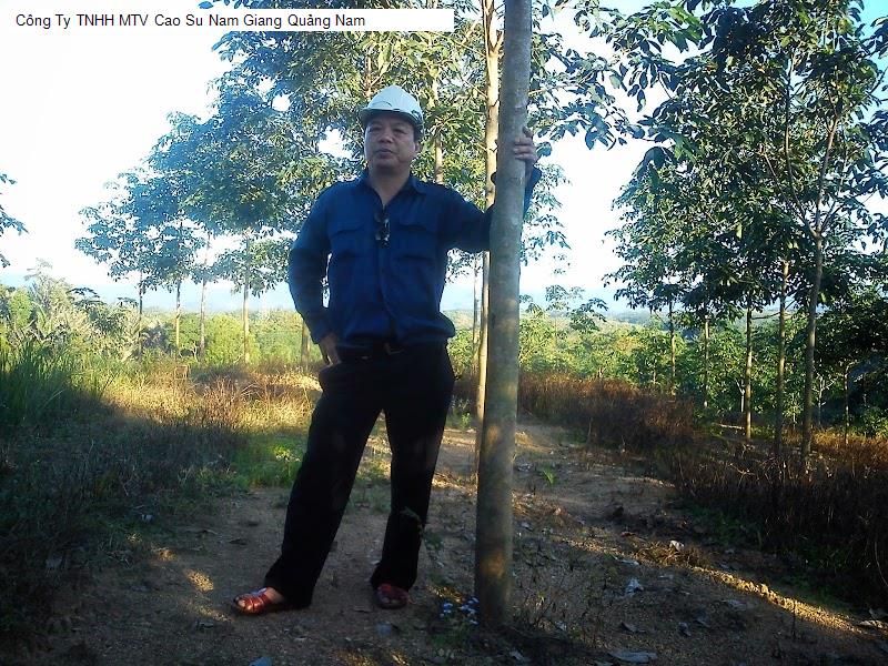 Công Ty TNHH MTV Cao Su Nam Giang Quảng Nam