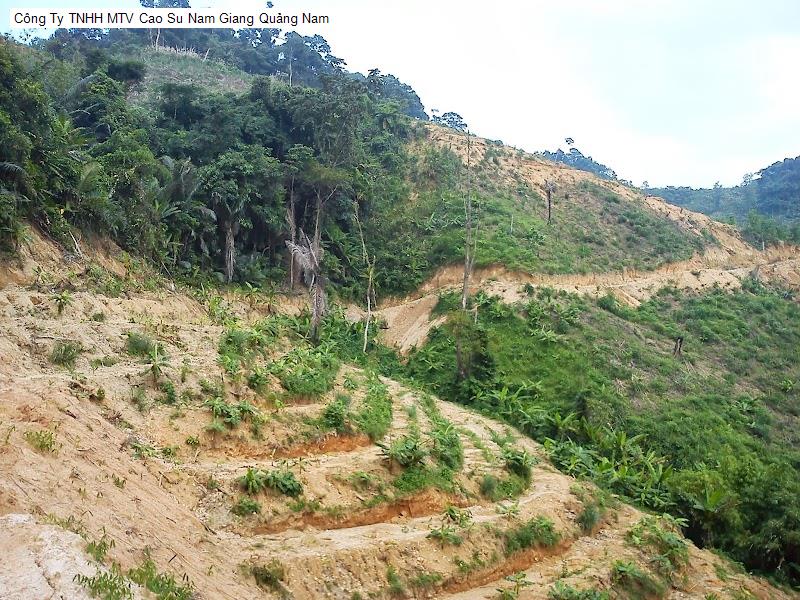 Công Ty TNHH MTV Cao Su Nam Giang Quảng Nam