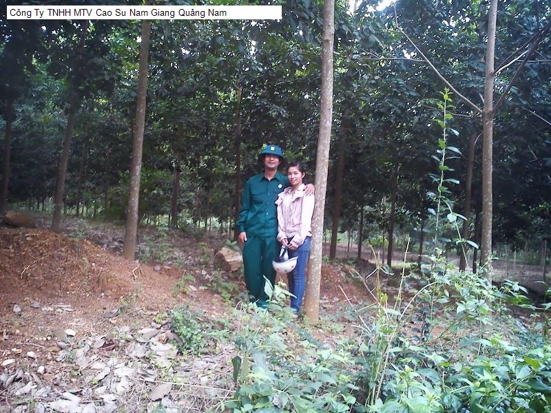 Công Ty TNHH MTV Cao Su Nam Giang Quảng Nam