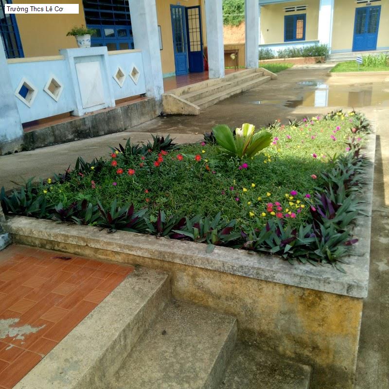 Trường Thcs Lê Cơ