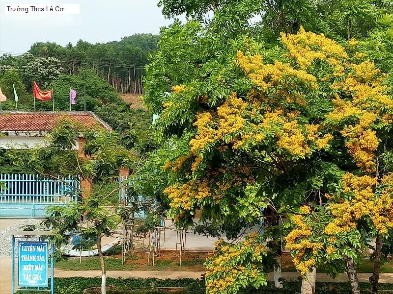 Trường Thcs Lê Cơ