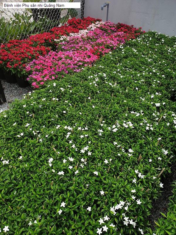 Bệnh viện Phụ sản nhi Quảng Nam
