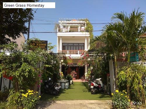 Green Grass Homestay