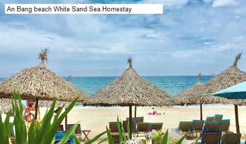 An Bang beach White Sand Sea Homestay