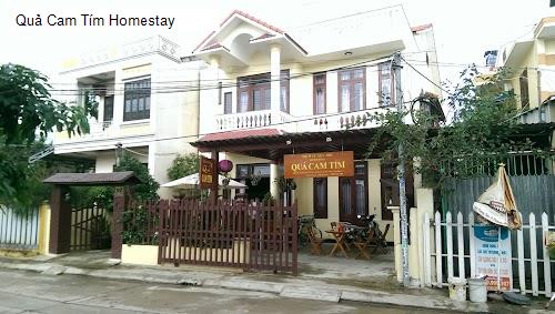 Quả Cam Tím Homestay